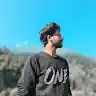 freelancer