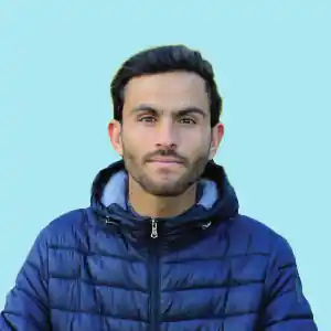 freelancer