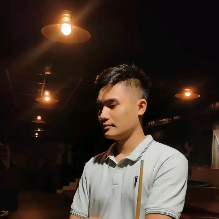 freelancer