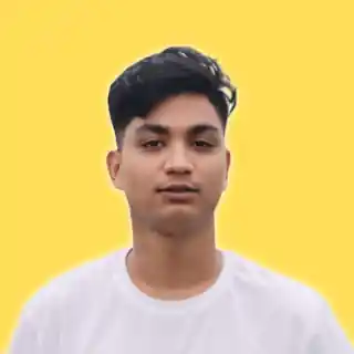 freelancer