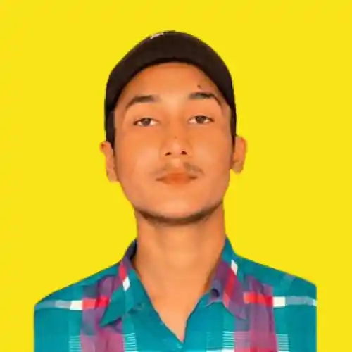 freelancer