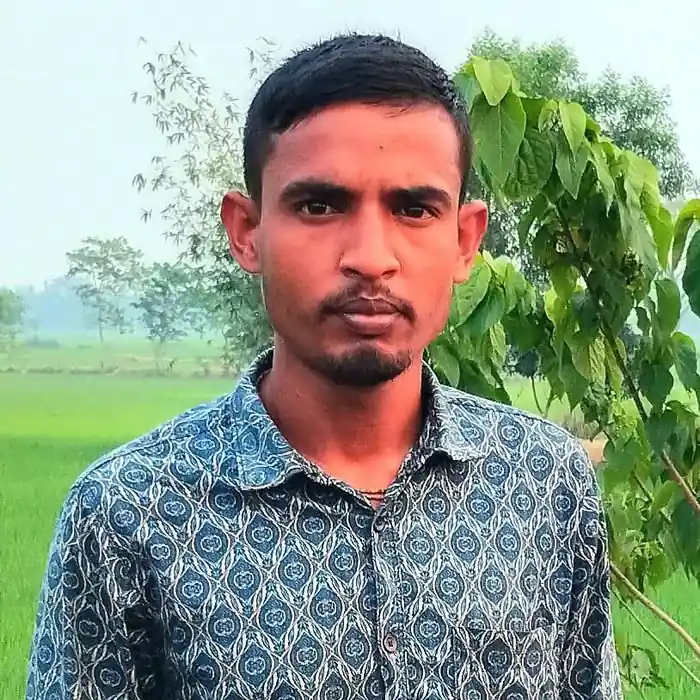 freelancer