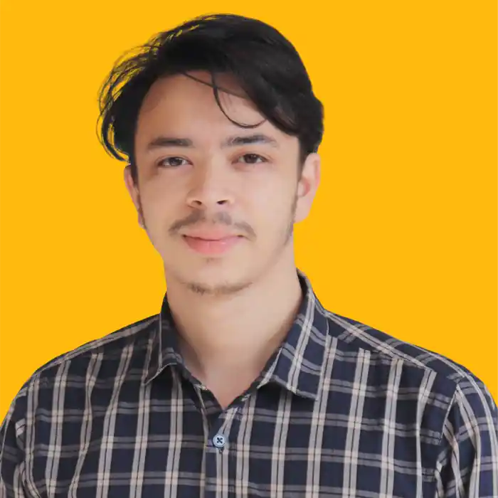 freelancer