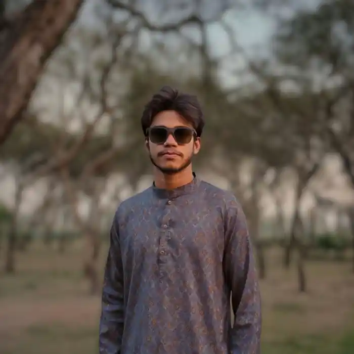 freelancer