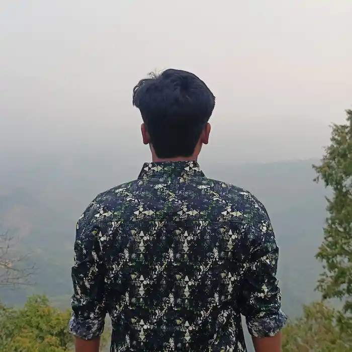 freelancer