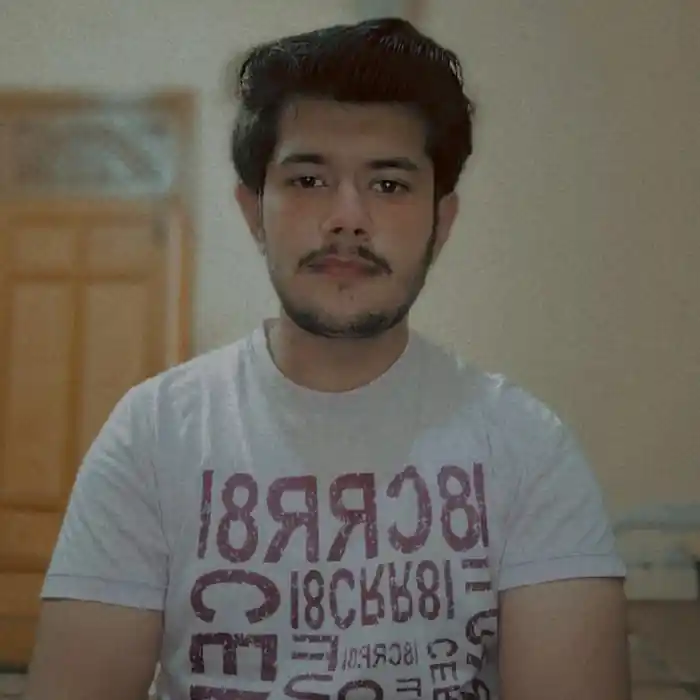 freelancer