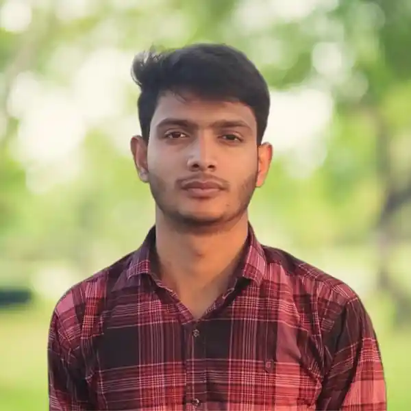 freelancer