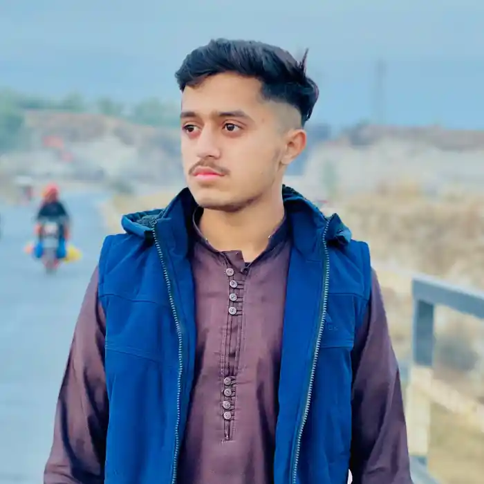 freelancer
