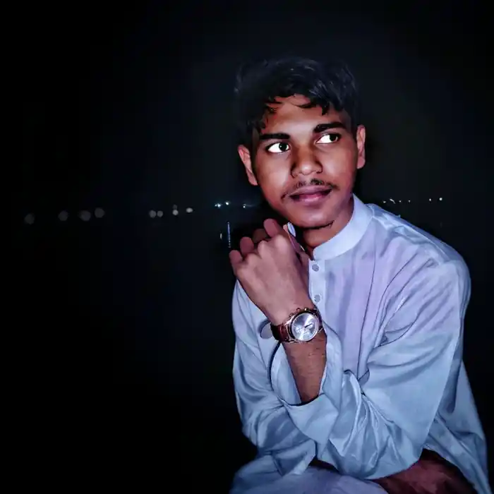 freelancer