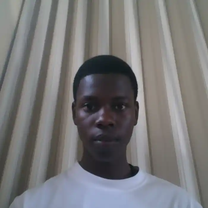 freelancer