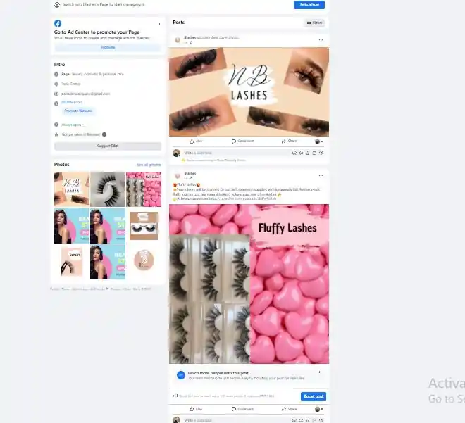 I can setup facebook ads instagram ads campaign for sales and leads
