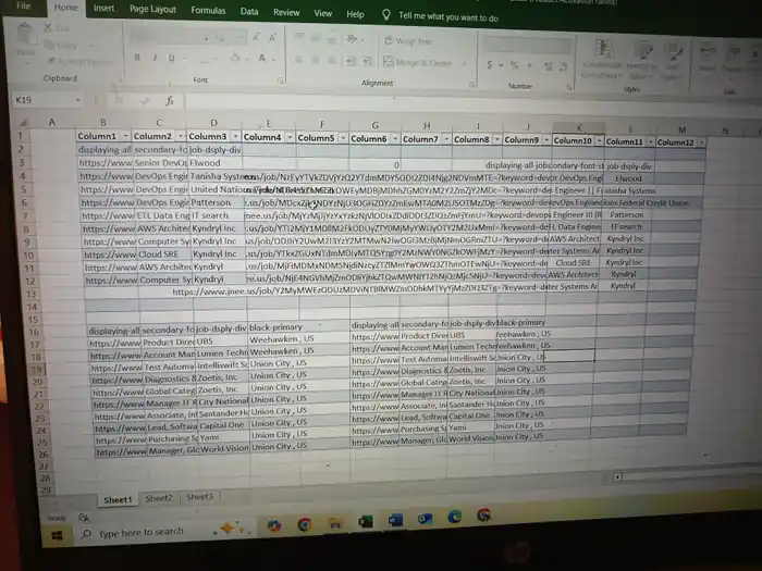 I can do go data entry data expert