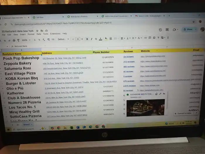 I can do go data entry data expert