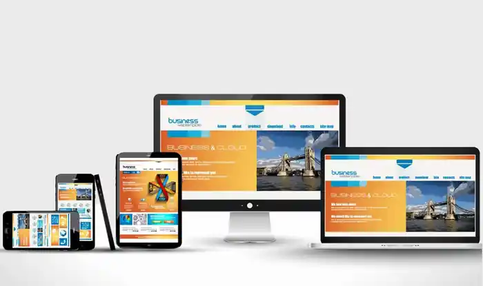 I can develop WordPress Ecommerce website and Business Website