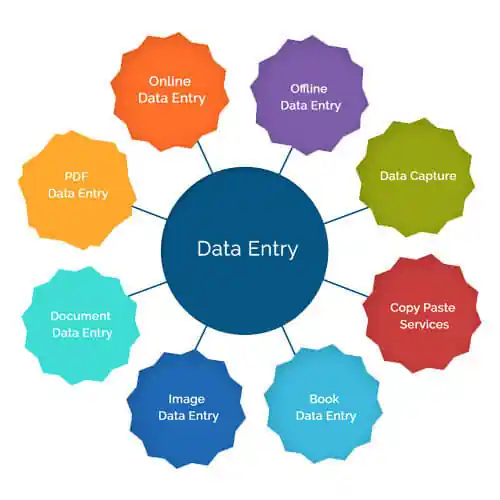 I can I will do fast accurate data entry