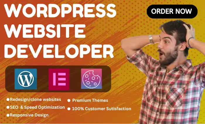 I can design and build responsive WordPress website