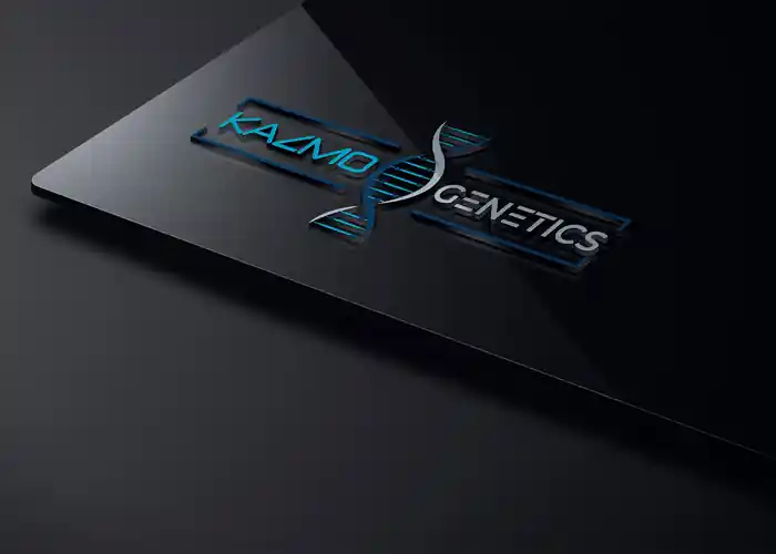 I can Do modern minimalist logo design for you