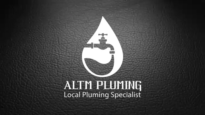 I can do modern minimalist business logo design