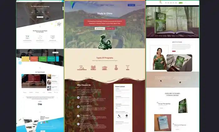 I can Develop, Customize, and Optimize Your WordPress Website