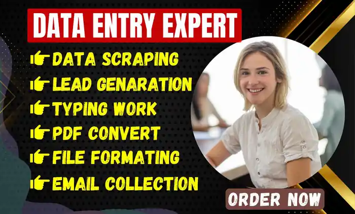 I can do go data entry data expert