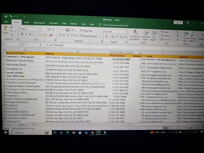 I can do go data entry data expert