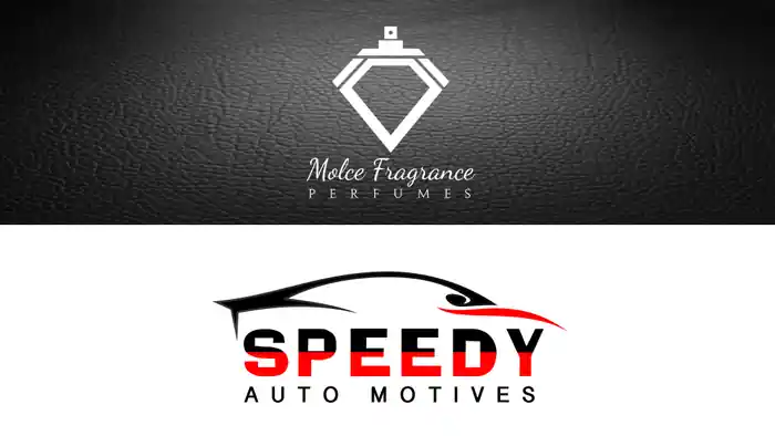 I can do modern minimalist business logo design
