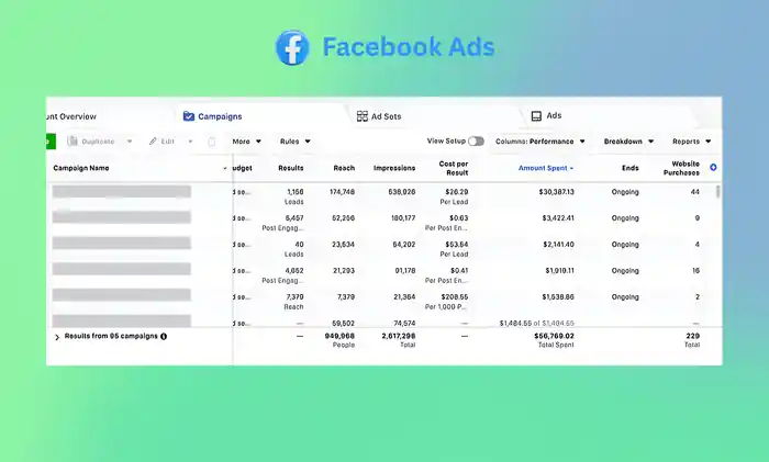 I can setup Pro ads campaign, get maximum ROAS on Google Facebook Instagram