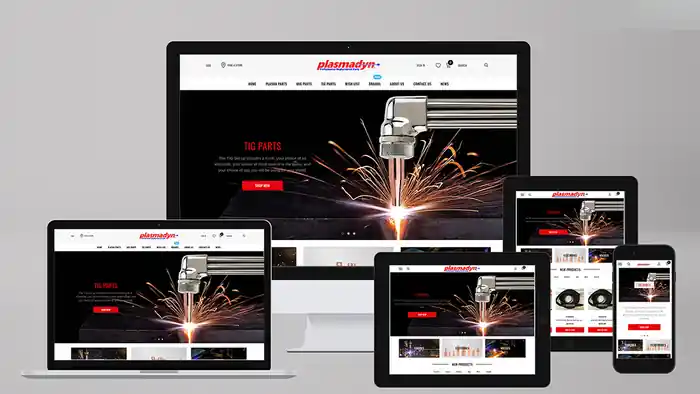 I can A Modern Shopify Dropshipping or Multi-vendor Website