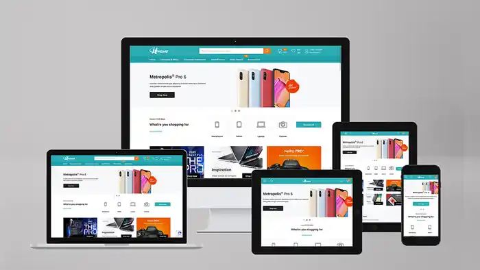 I can A Modern Shopify Dropshipping or Multi-vendor Website