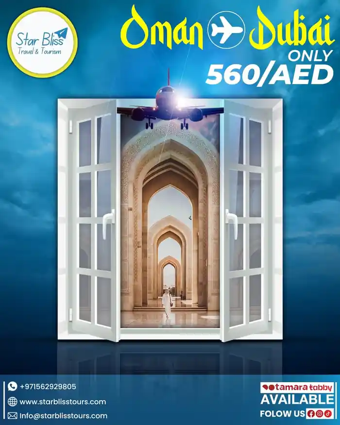 I can design postcard flyers, catalogs, company flyers, and marketing flyers