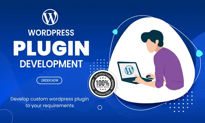 I can unlock the full potential of your WordPress site with custom plugins