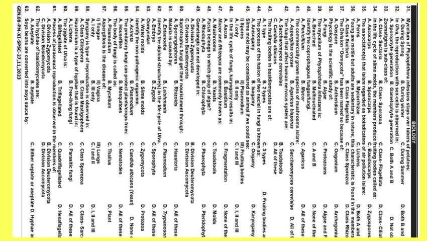 I can Accurate and Fast Data Entry & Document Formatting, layout