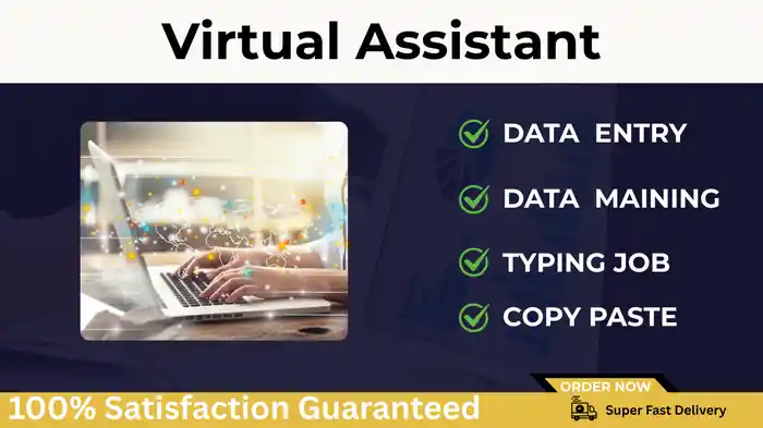 I can Data entry, web research, copy paste, excel data entry, typ