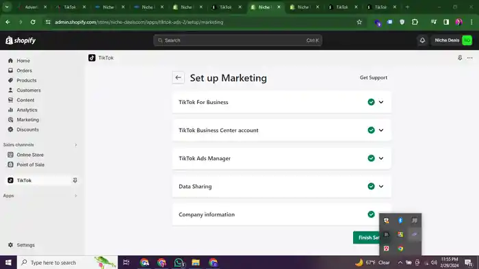 I can setup and manage tiktok ads campaign, tiktok marketing