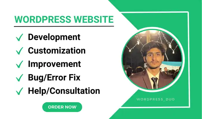 I can develop professional wordpress website with responsive design