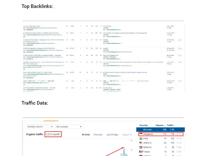 I can Complete Monthly SEO Service
