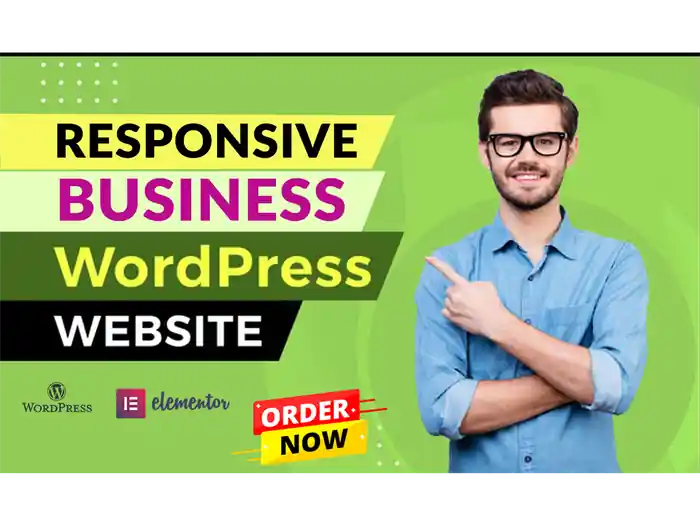 I can create wordpress website design and development theme