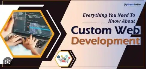 I can develop a professional Custom Website
