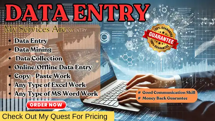 I can do any type of data entry and website research work