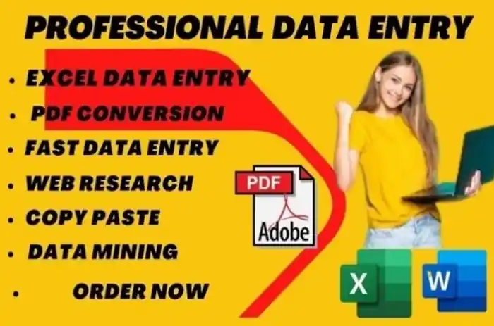 I can Do professional data entry, copy paste, web research, pdf conversion