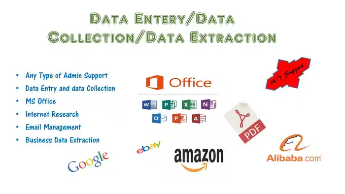 I can Data Entry| Virtual Assistant