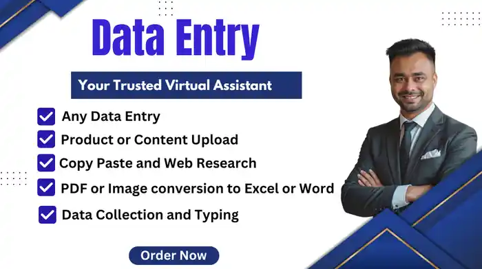 I can do DATA ENTRY, Copy paste, web research, product upload