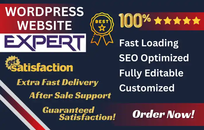 I can build responsive wordpress website design and custom development