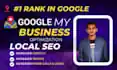 I can do google my business optimization and monthly local seo service