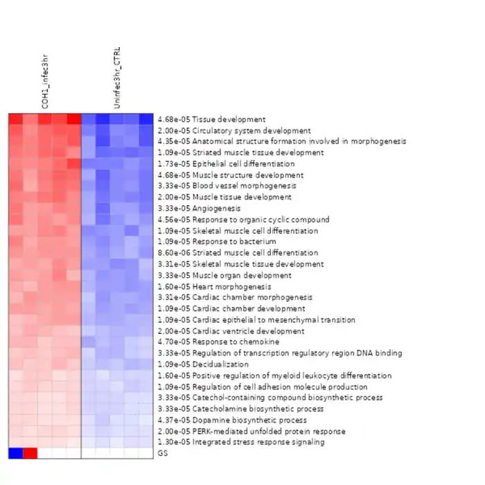I can  analyze NGS data scRNA-seq RNA-Seq, 16S, WGS, ChIP-Seq & Metagenomics