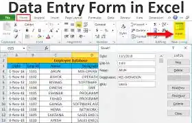 I can I will do fast accurate data entry