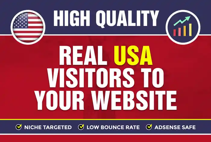 I can I will drive USA organic-keyword-targeted-web-traffic-real-visitors