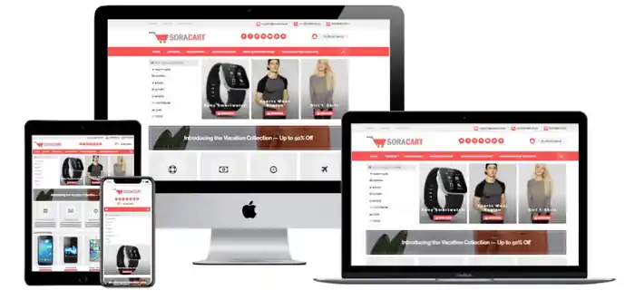 I can design and develop a professional Shopify store for your brand