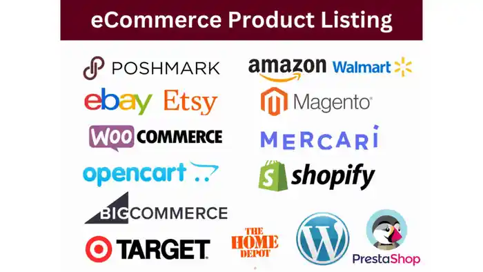 I can Product Ranking on 1st page Amazon Walmart and Etsy by SEO