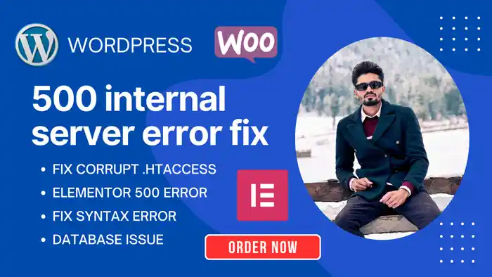 I can do htt 500 internal server error fix in 1 hour wordpress website